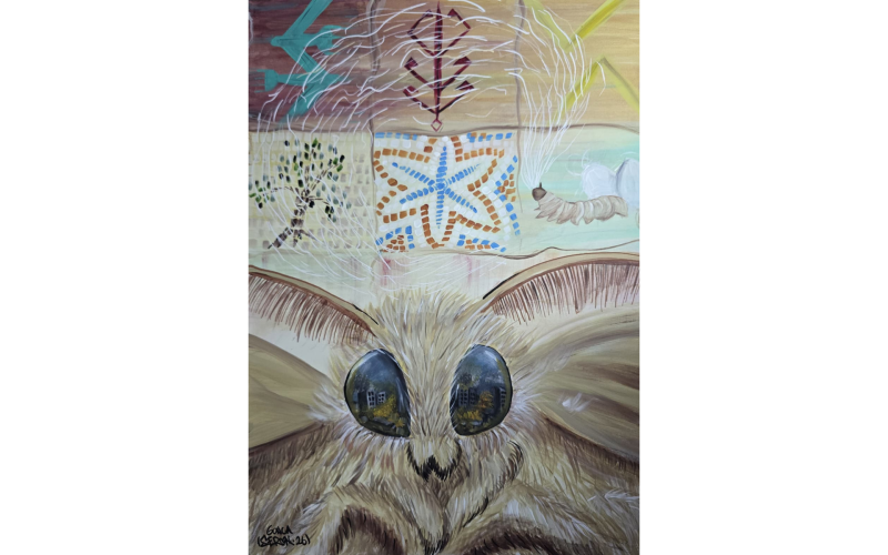 Hatıraların İzini Sürmek