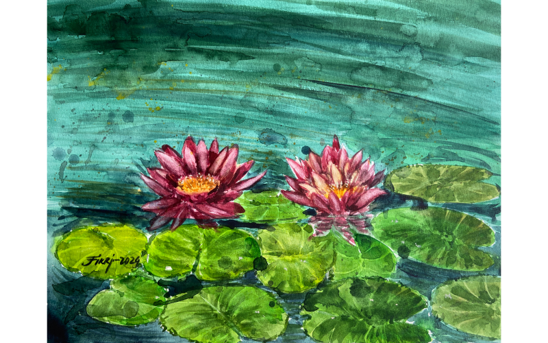 Kırmızı Nilüferler