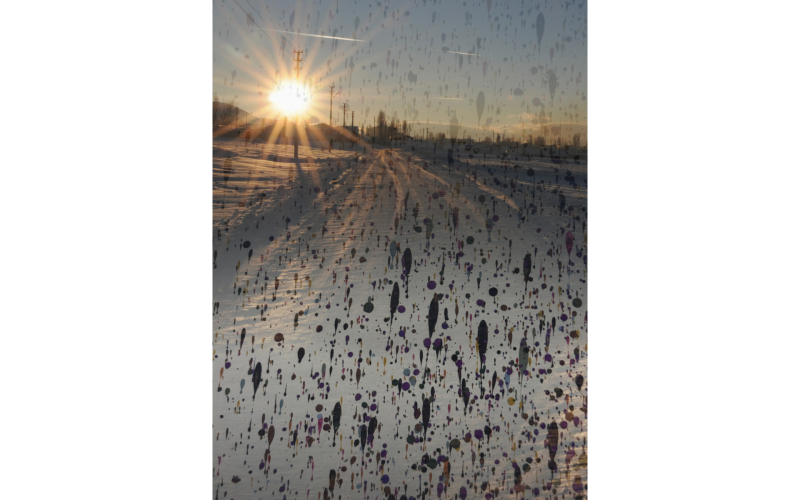 Bir Şubat Tanıklığı